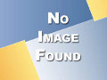 药物新靶点和基于384孔板高通量筛选的最佳实验方案
