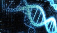 RNA病毒逃逸机体的天然免疫机理