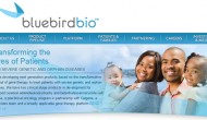 值得关注的两个临床结果:Bluebird Bio的LentiGlobin BB305基因疗法和Agios生物制药AG-221的AML一期临床 值得关注的两个临床结果:Bluebird Bio的LentiGlobin BB305基因疗法和Agios生物制药AG-221的AML一期临床