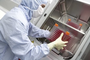 Growing_cells_in_GMP