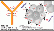 Immunomedics的SN-38抗体药物偶联物（ADC）Sacituzumab Govitecan获得FDA快速通道认定