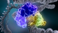 化学已经日落西山？为何诺贝尔化学奖经常给生物学家