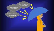治疗癌症还是预防癌症？