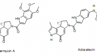 Synthon生物制药公司的抗体药物偶联物（ADC）在临床前实验中显示积极疗效
