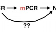 高通量测序技术能淘汰PCR吗? 高通量测序技术能淘汰PCR吗?