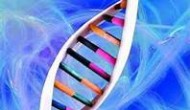 表观基因学和抗癌药研发 表观基因学和抗癌药研发