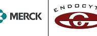 Endocyte和默克的小分子靶向药物耦联药物在肺癌二期临床显示疗效 Endocyte和默克的小分子靶向药物耦联药物在肺癌二期临床显示疗效