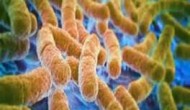 盘点临床开发阶段的免疫哨卡抑制剂 盘点临床开发阶段的免疫哨卡抑制剂