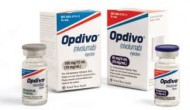 FDA接受施贵宝PD-1抑制剂Opdivo治疗肺癌上市申请,免疫疗法进入主流实体瘤 FDA接受施贵宝PD-1抑制剂Opdivo治疗肺癌上市申请,免疫疗法进入主流实体瘤