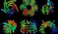 让蛋白动起来：Relay Therapeutics获5700万美元A轮投资