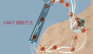 一朵忽先变：CAR-T首例实体瘤疗效