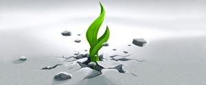 breakthroughwide1