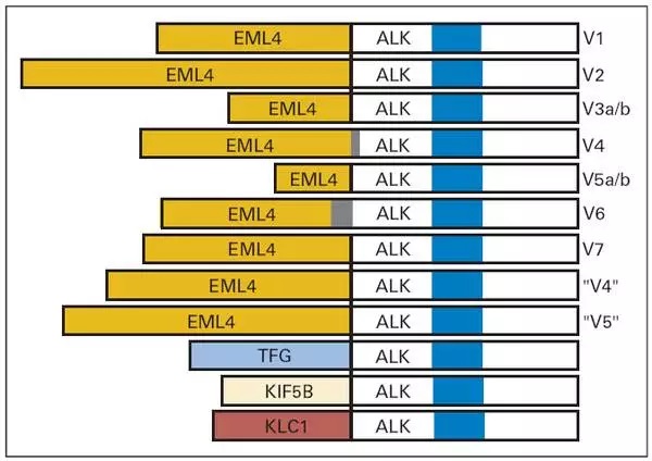 figure17-8-25-7