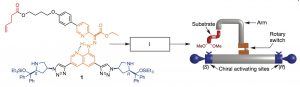 Molecular-switch (1)