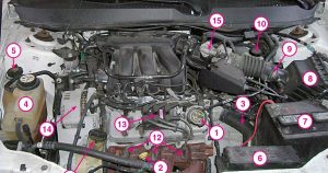 underthehood_v6fwd_1