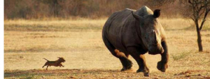 Size-Doesnt-Matter