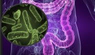 罗氏继续投资微生物组技术