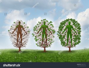 stock-photo-cure-and-recovery-concept-and-healing-through-rehabilitation-therapy-symbol-as-an-empty-tree-296219711