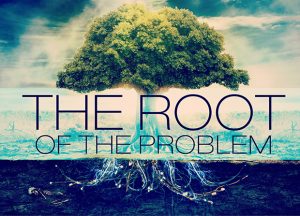 root-revival-2014-1