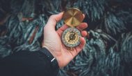 检查点抑制剂在非小细胞肺癌的完全应答率