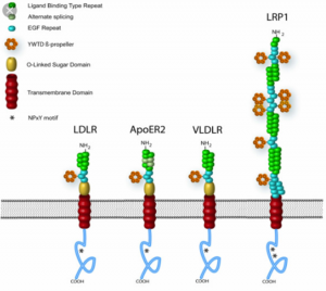 Fig 4