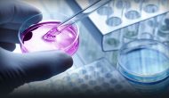 抑制miR21、体内偶联白蛋白的RNAi 抑制miR21、体内偶联白蛋白的RNAi